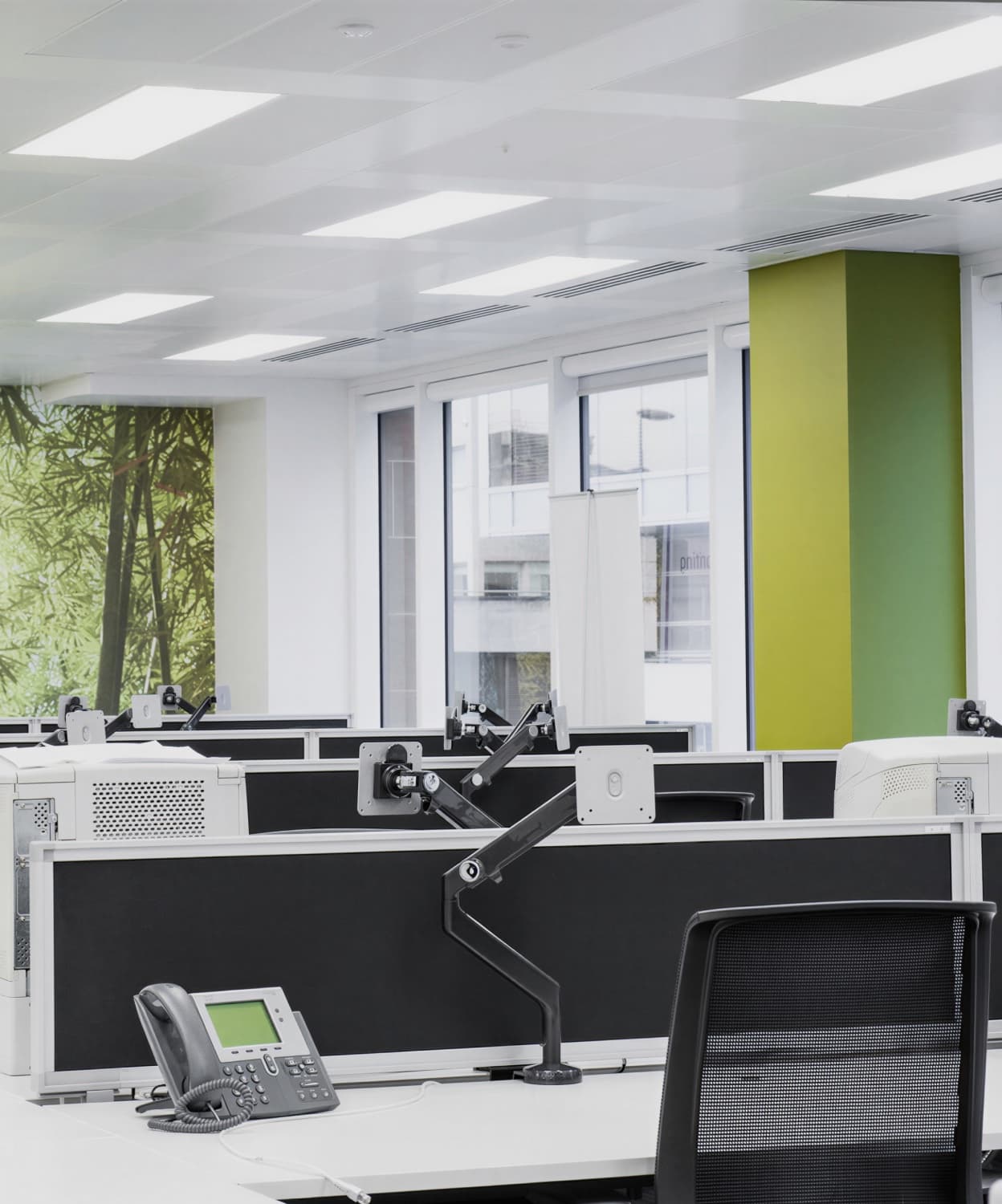 An open-plan desk row beneath a forest-mural window bay and a lime-green structural column.