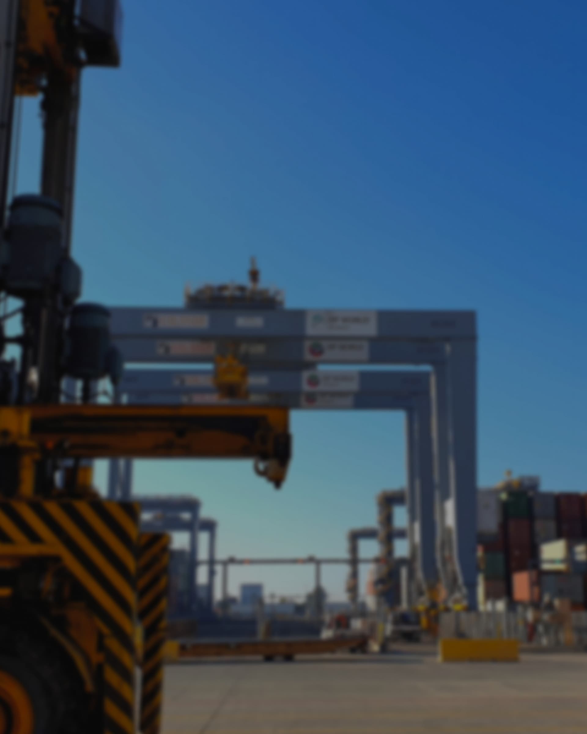 A softened view of a DP World terminal gantry crane against a clear sky, stacked containers beyond it.