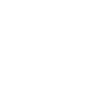 Train fleet